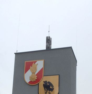 5.jpg"